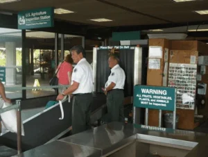 Hawaii agriculture inspection for soil and pests before shipping vehicles