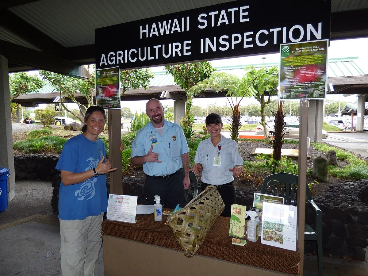 Hawaii DMV inspection station sign