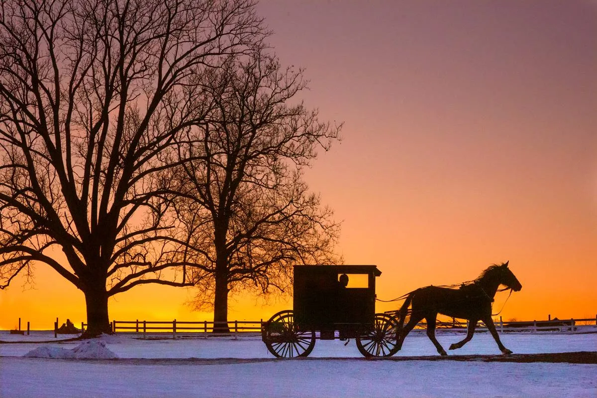 horse carriage night lighting