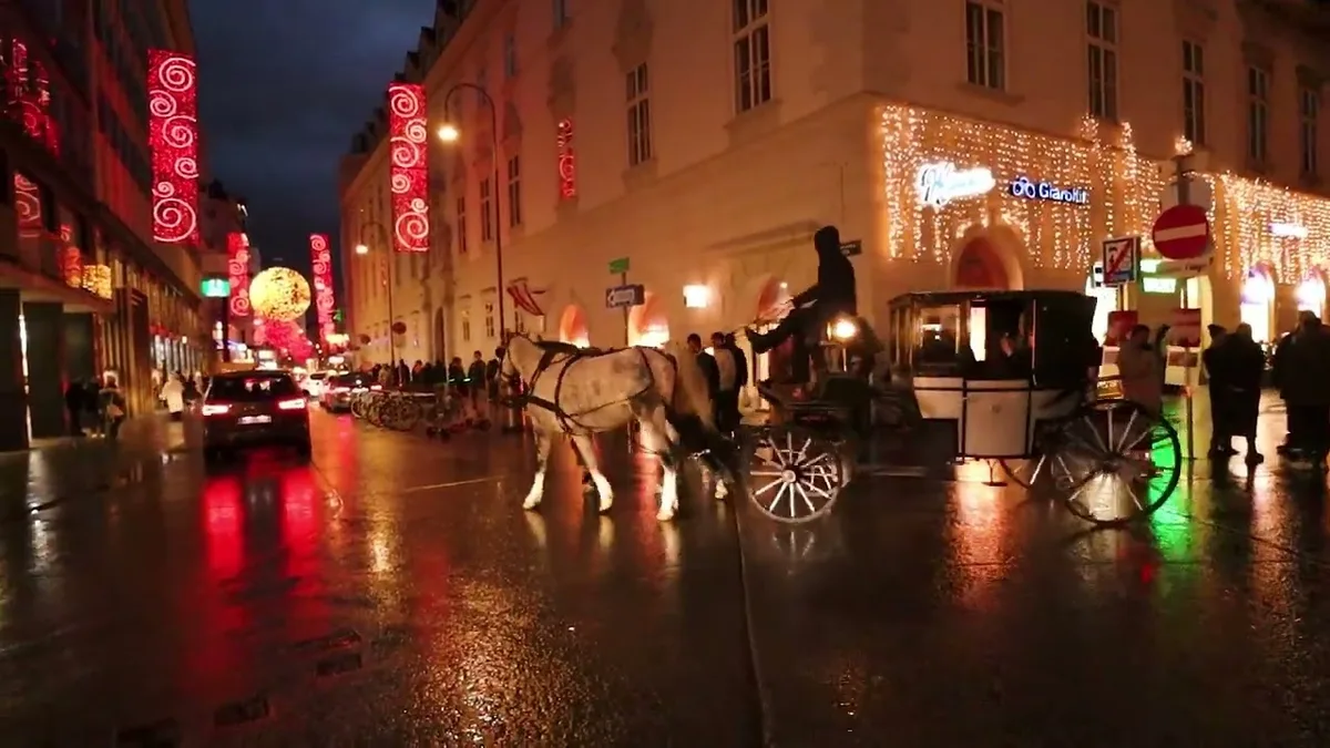 Horse-drawn carriage nighttime lighting