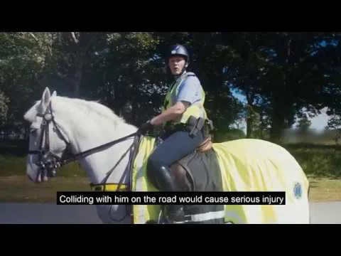 horseback rider sharing road with cars
