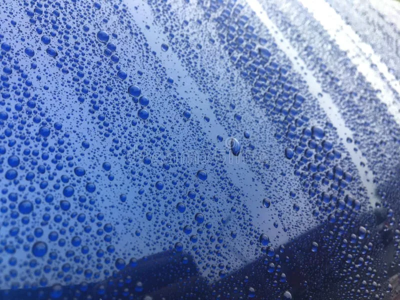 hydrophobic car paint