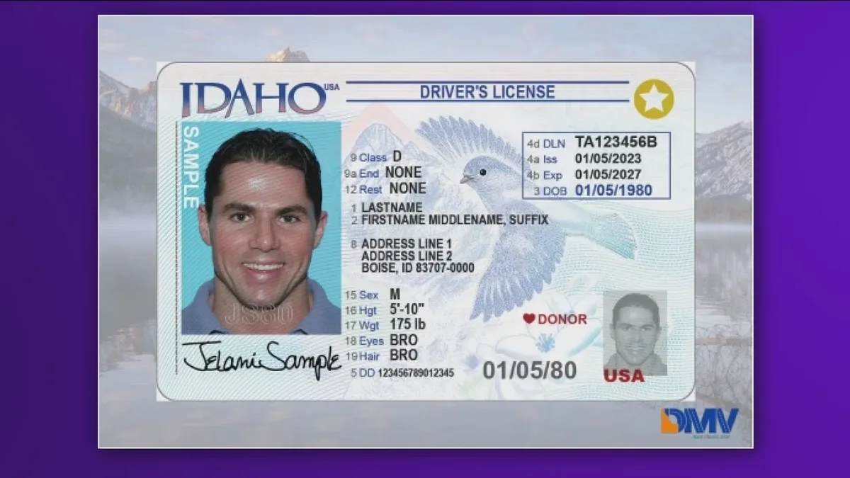 Idaho driver's license and registration card