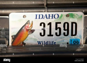 Idaho vehicle registration without inspection