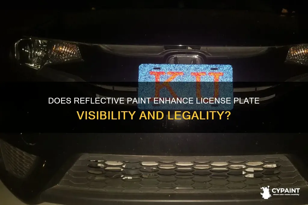 Indiana license plate visibility check