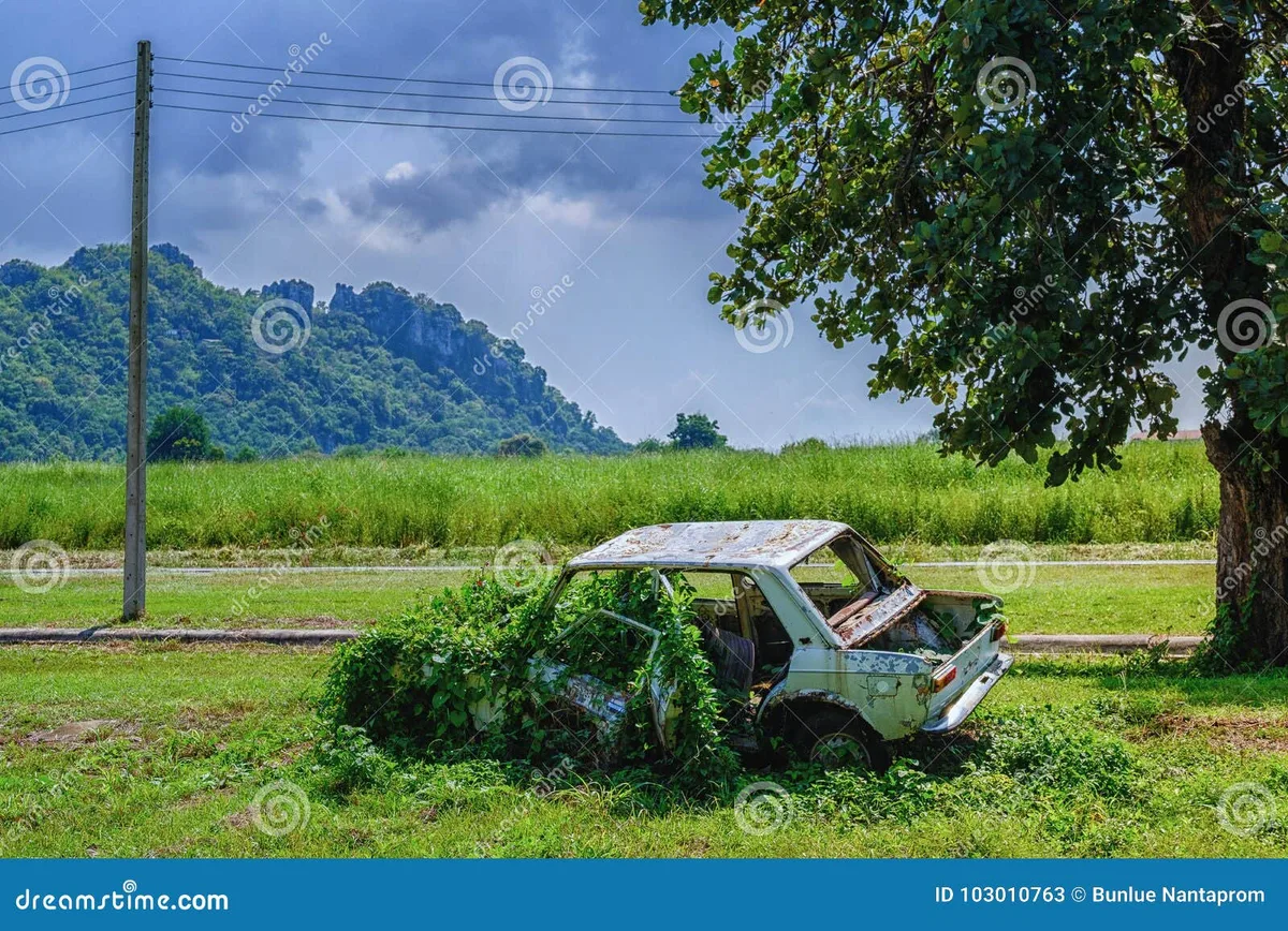 junk car in overgrown lot