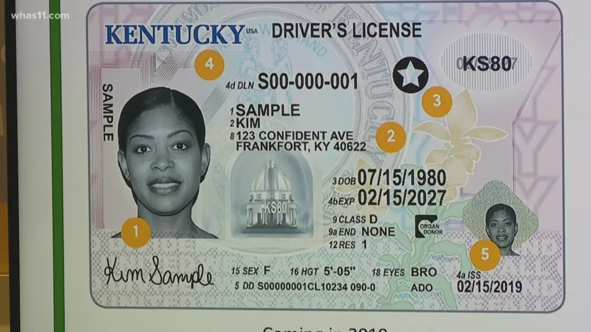 Kentucky permit vs intermediate license