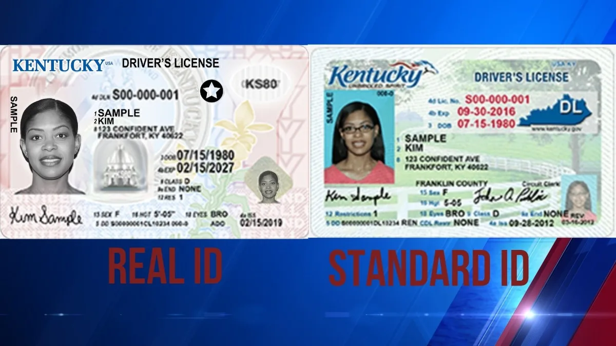 Kentucky REAL ID vs standard license