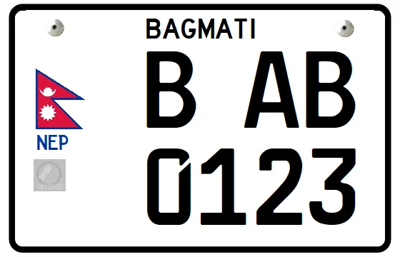 license plate display