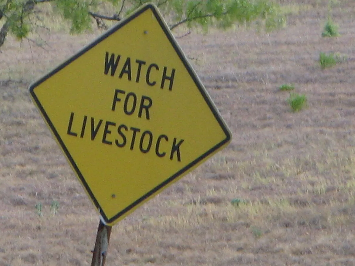 livestock crossing sign