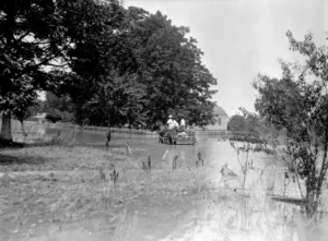 Louisiana horse-drawn carriage on rural road with safety equipment