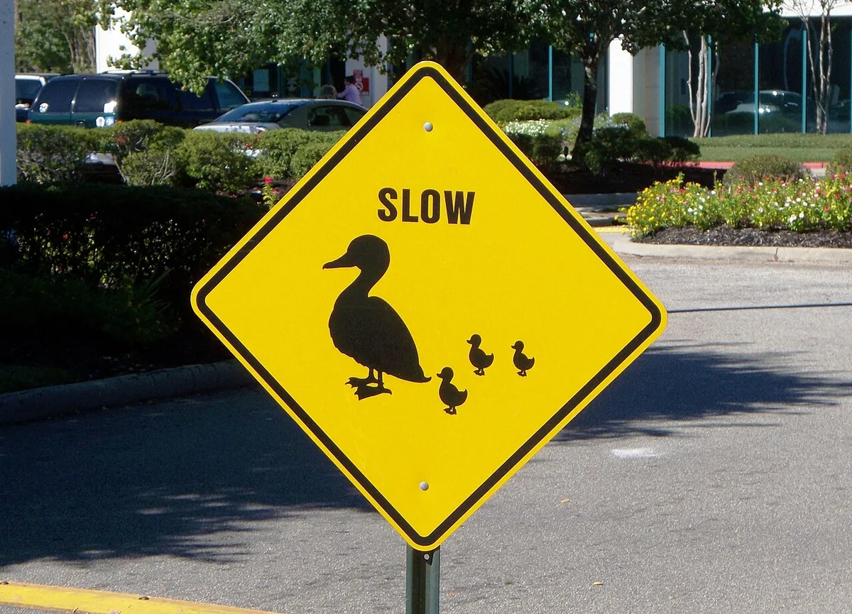 Louisiana roadway sign for animal crossings