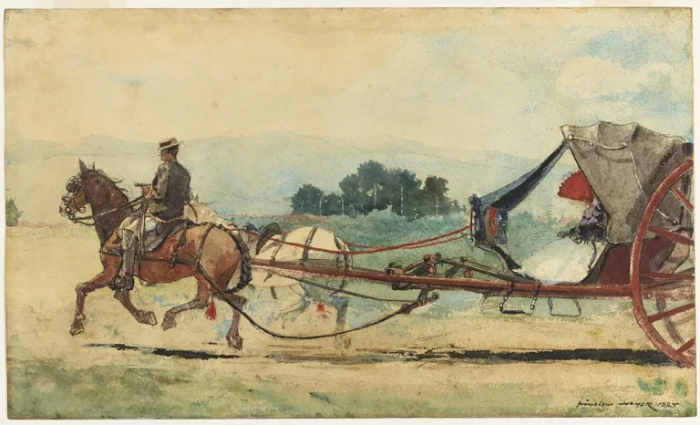 Maine horse drawn carriage on rural highway