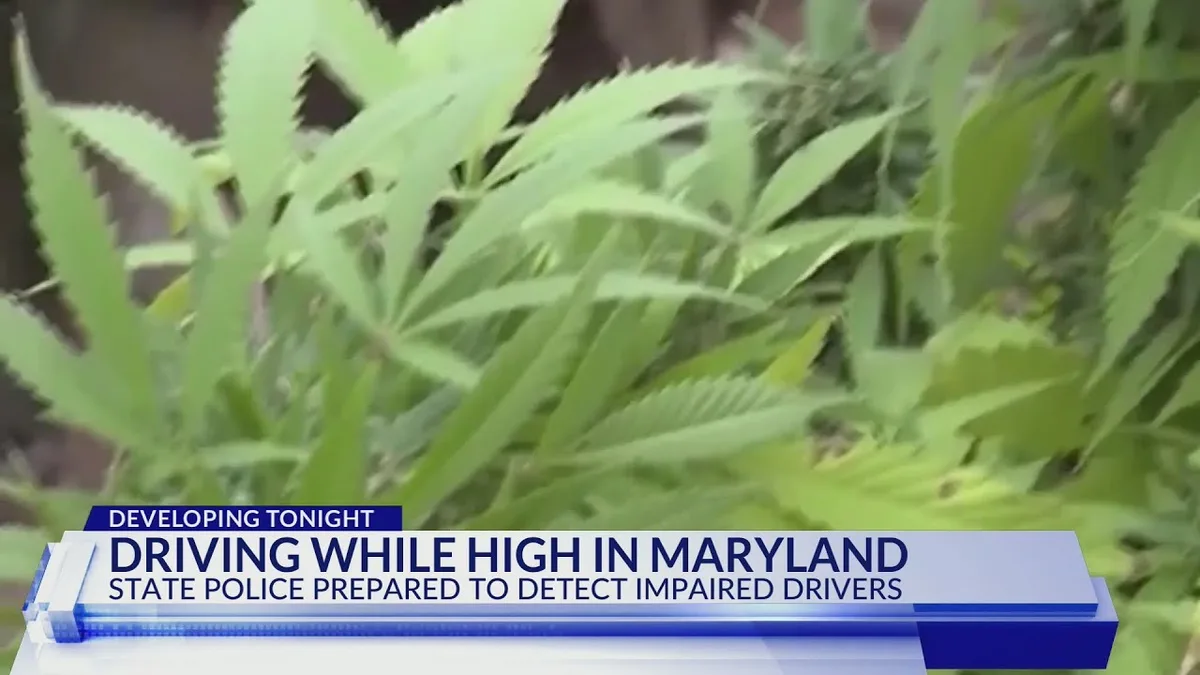 Maryland distracted driving law and handheld device prohibition