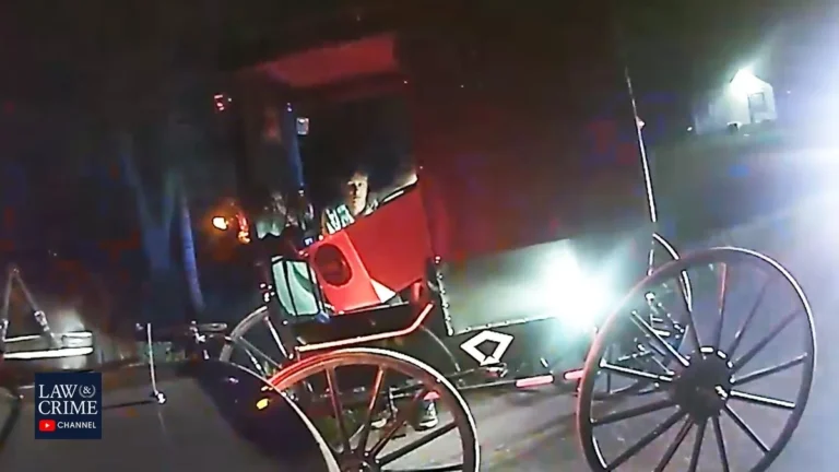 Michigan horse drawn vehicle and animal rider highway sharing rules