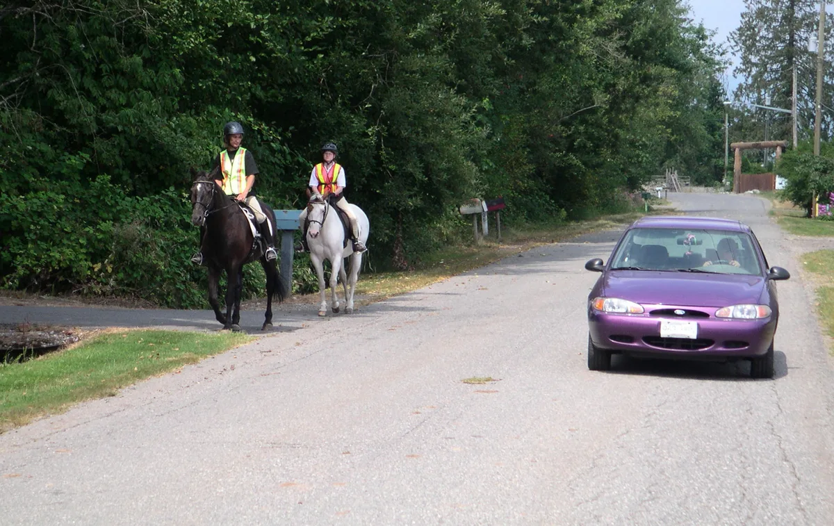Michigan horseback rider on highway