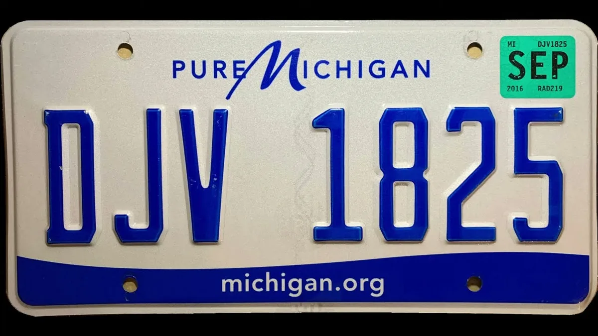Michigan license plate character restrictions