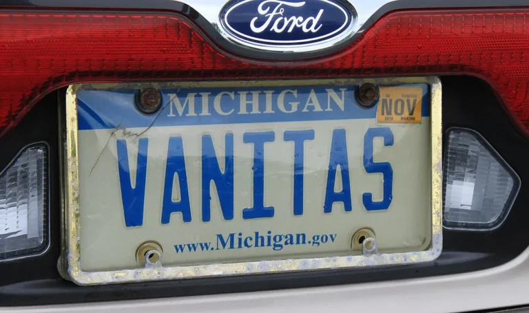 Michigan personalized license plate example