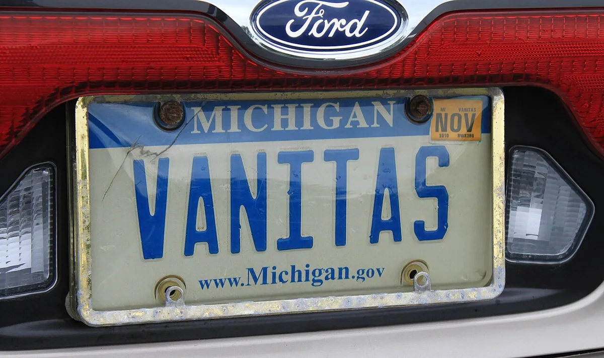Michigan vanity plate example
