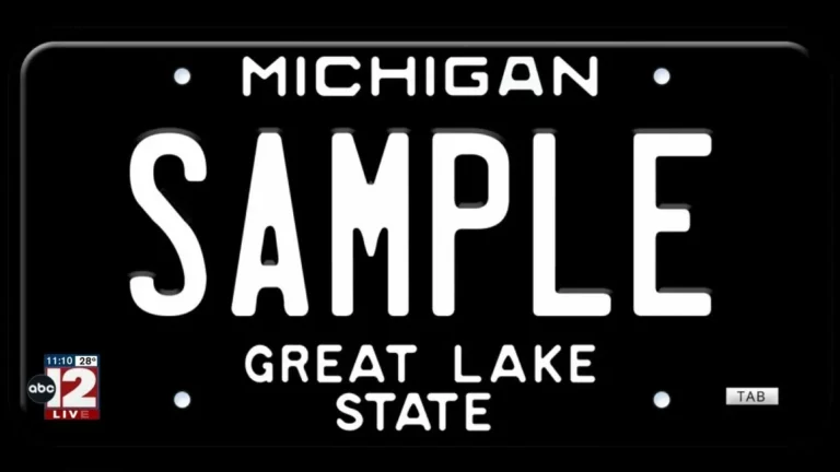 Michigan vehicle registration deadline after purchase or move