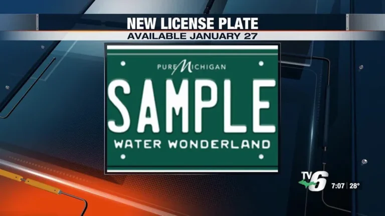 Michigan vehicle registration form and license plate