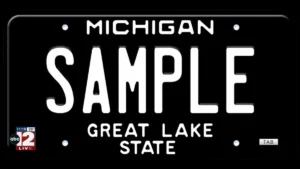 Michigan vehicle registration renewal options