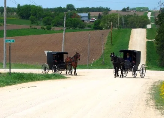 Minnesota horse drawn vehicle and animal rider road sharing rules