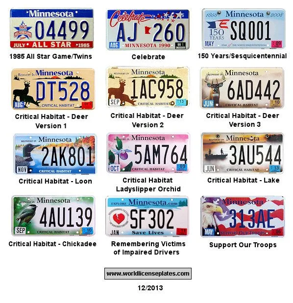 Minnesota license plate visibility