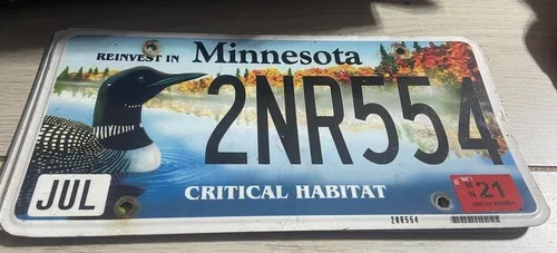 Minnesota vehicle registration plate colors and special designations