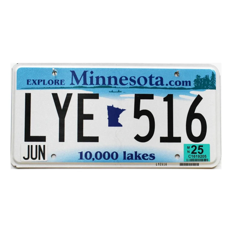 Minnesota vehicle registration renewal options