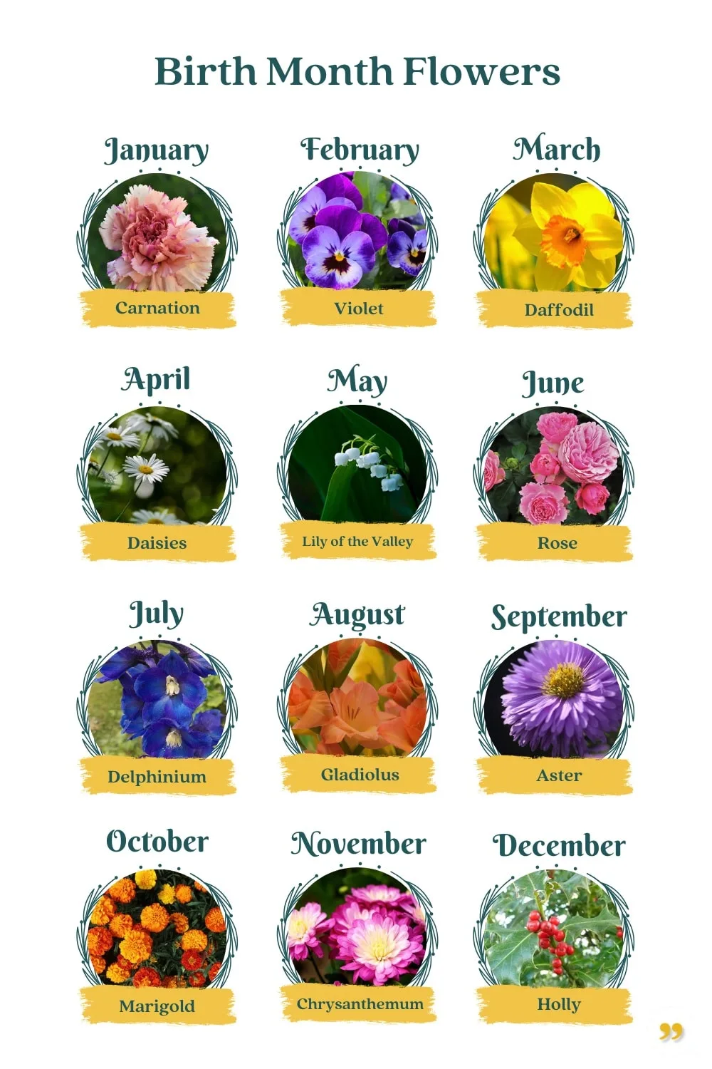 owner birthday renewal month