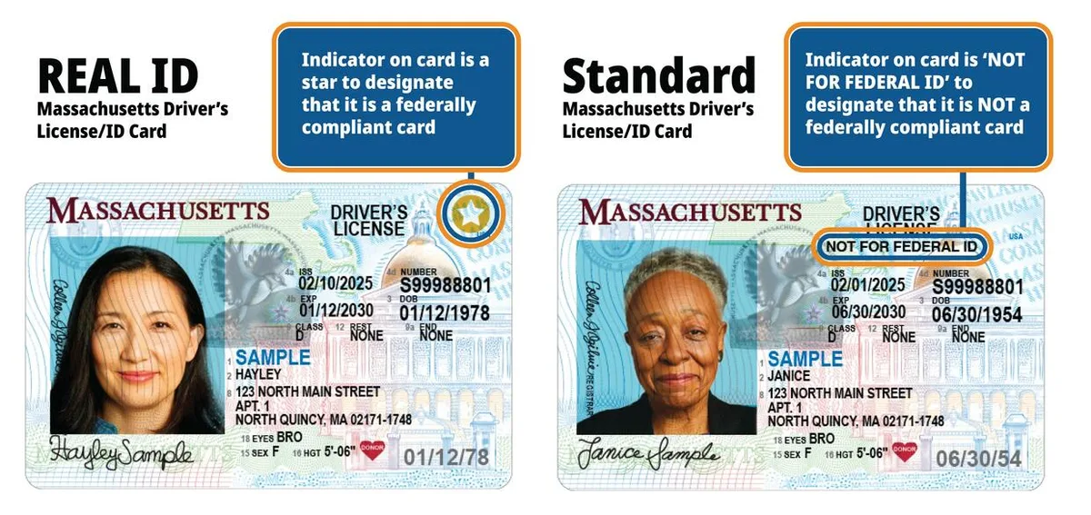 REAL ID vs standard license comparison