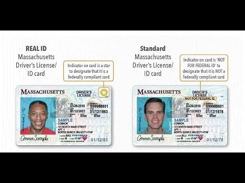 REAL ID vs standard Massachusetts license comparison
