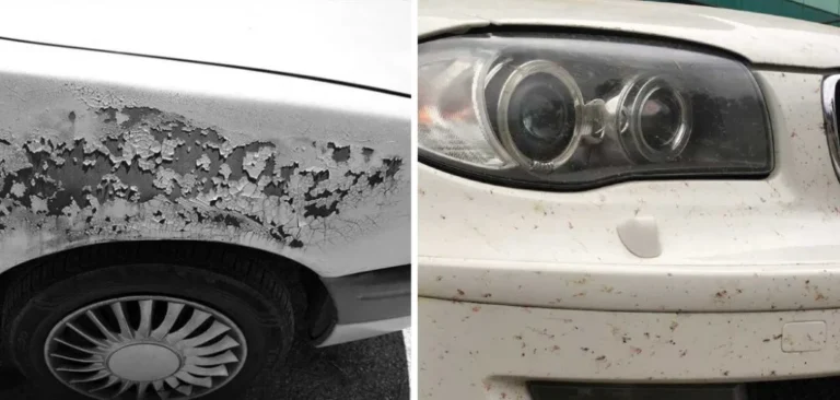 salt stains on car paint from road salt