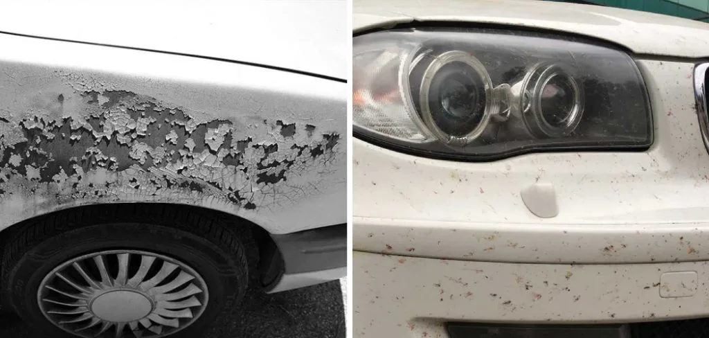 salt stains on car paint from road salt