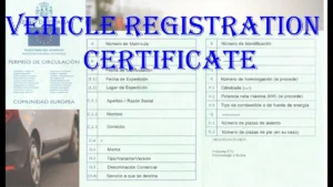 American Samoa vehicle registration deadline 30 days after purchase or move