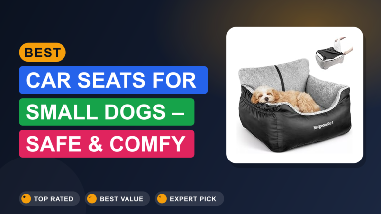 Best Car Seats for Small Dogs – Safe & Comfy