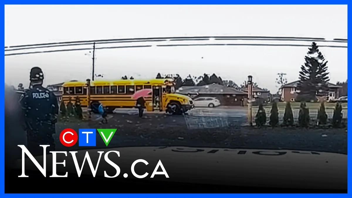 car illegally passing school bus divided highway