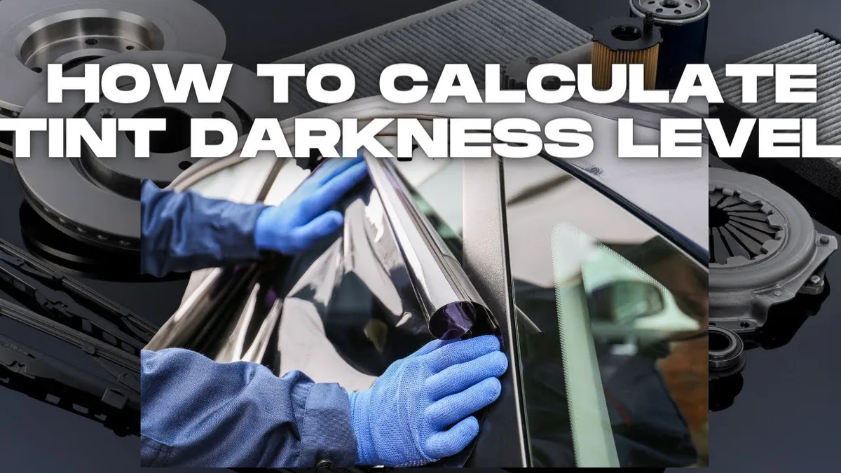 car window tint legal zones diagram