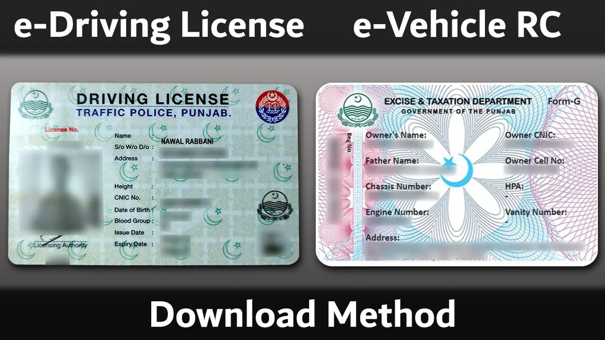 driver license and vehicle registration