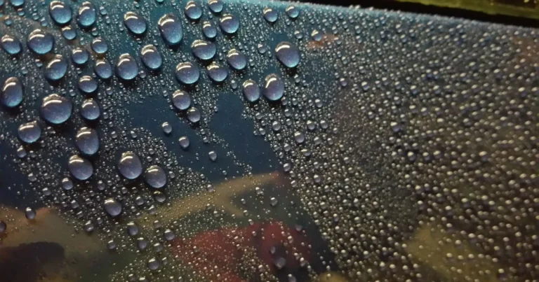 glass sealant for cars
