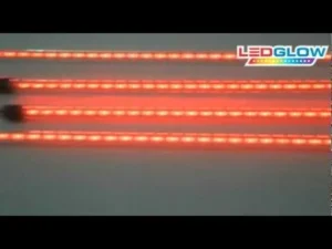 Guam blue and red light prohibition for private motor vehicles