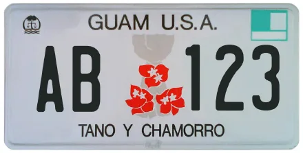 Guam license plate character restrictions