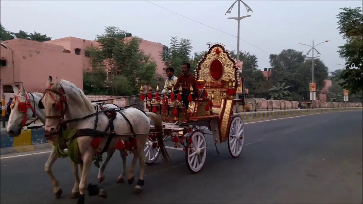 horse and car sharing road safely