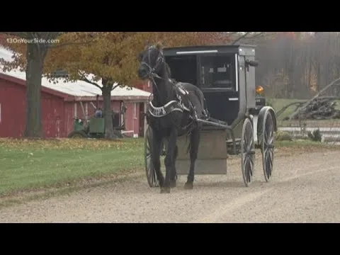 horse buggy reflective lighting night