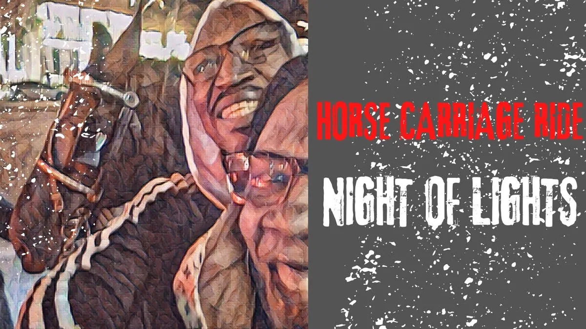 horse carriage nighttime visibility