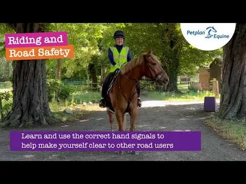horse rider hand signals