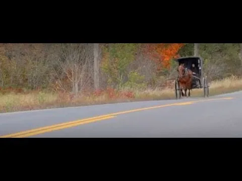 Mississippi horse drawn vehicle and animal rider highway sharing rules
