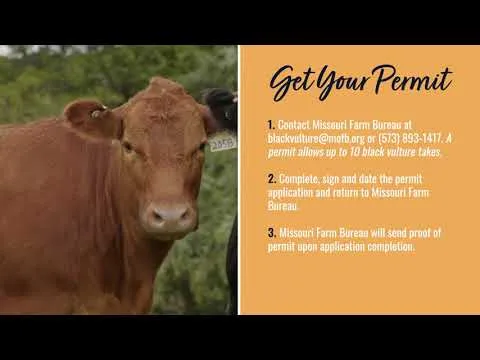 Missouri tractor road permit