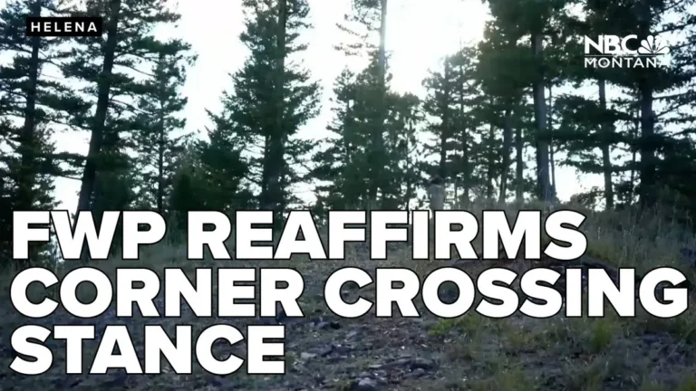 Montana aggressive driving penalties and insurance premium impact
